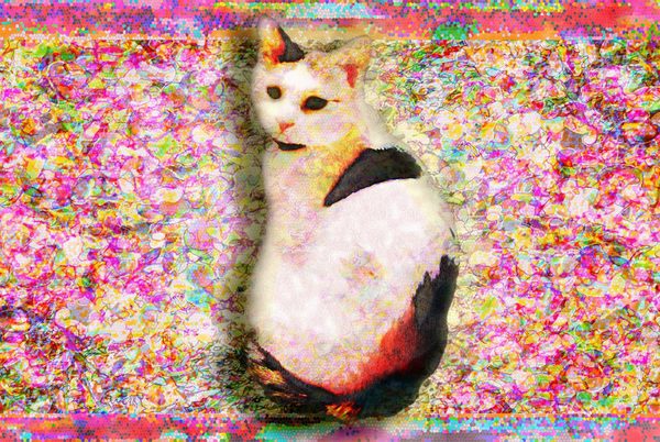 振り向き猫にゃん」 by nao｜アート・絵画の販売(通販)サイト Artmeter - 国内最大級のインディーズアート専門マーケットプレイス