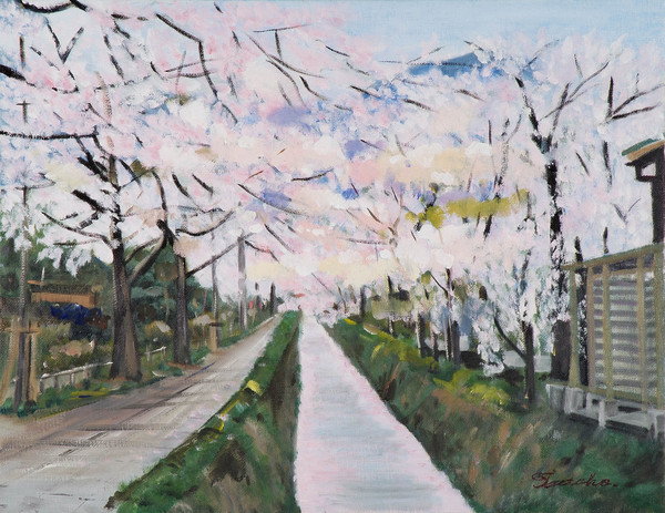 油絵 油彩 油彩画 絵画 絵【哲学の道の桜】 油絵 油彩 油彩画 絵 絵画 【哲学の道の桜】 | HIROSHI1990