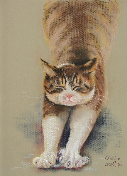 伸び猫」 by ちえぞう｜Artmeter｜暮らしを彩るアートが、きっと見つかる