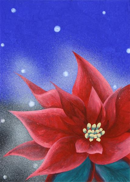 絵画】ボタニカルアート 「ポインセチア」原画 油絵 絵画 【白い