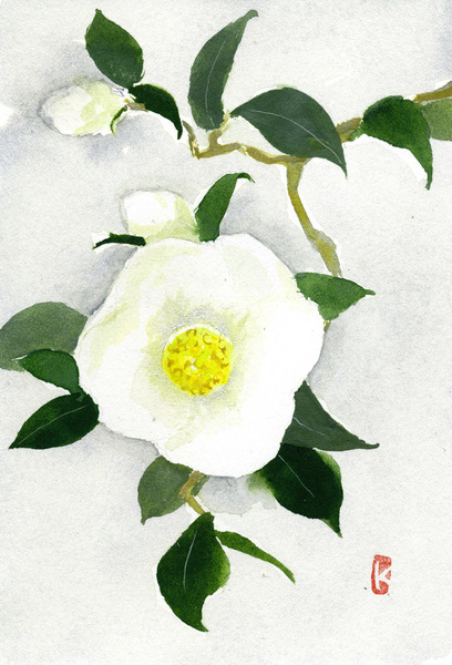 椿(侘助)」 by コー｜Artmeter｜暮らしを彩るアートが、きっと見つかる