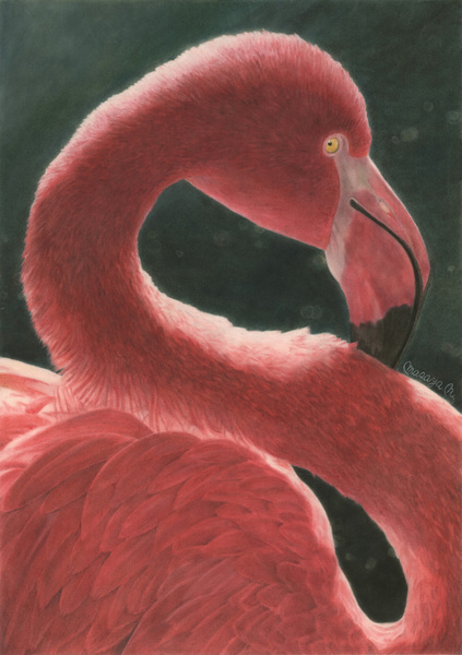 ピンクの鳥 ピンクの鳥」 by 長井雅也｜Artmeter｜暮らしを彩るアートが