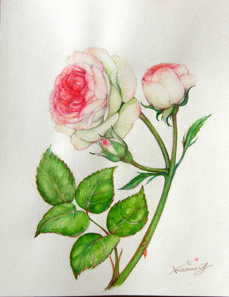 薔薇 絵画 G.BARTON 2025年最新】G.BARTON 油絵の人気アイテム - メルカリ