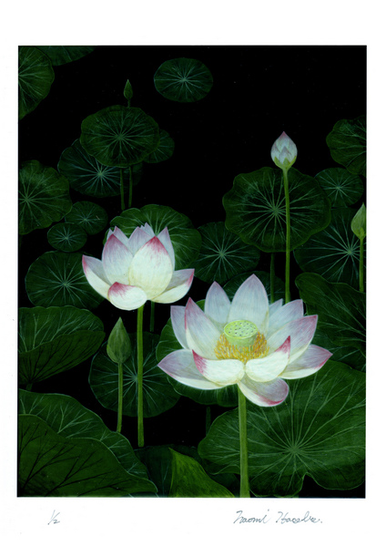 蓮の花 水彩画原画 絵画 yko 通販 7391281｜Creema(クリーマ)