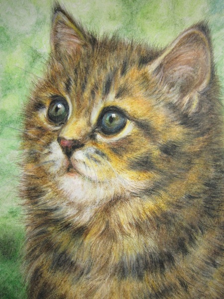 子猫 1」 by CHI☆YO｜Artmeter｜暮らしを彩るアートが、きっと