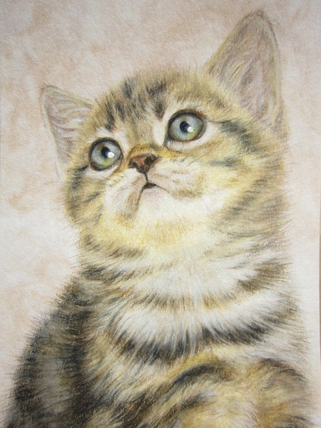 子猫 2」 by CHI☆YO｜Artmeter｜暮らしを彩るアートが、きっと
