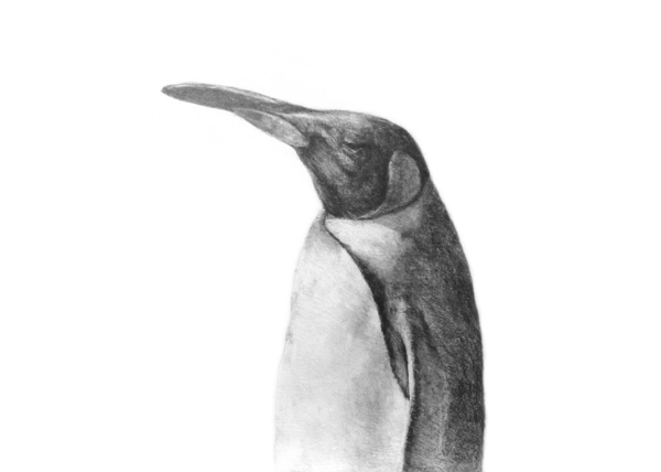 砂絵 ペンギン 絵画 アート作品 楽天市場】絵画 額無し 油絵 Enjoy! art『ペンギン(ぺんぎん