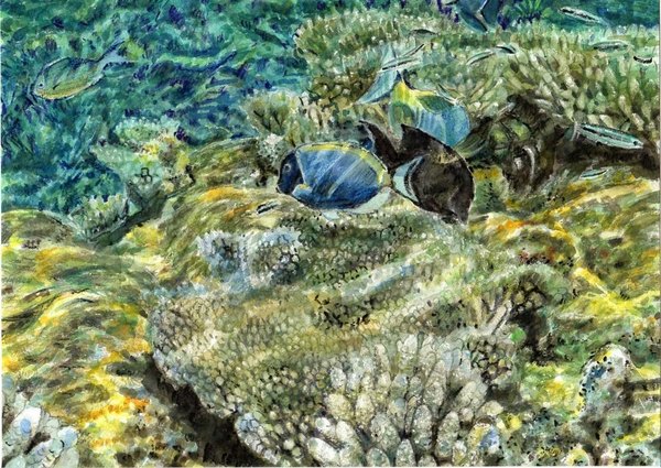 熱帯魚と珊瑚礁」 by 早春賦｜Artmeter｜暮らしを彩るアートが