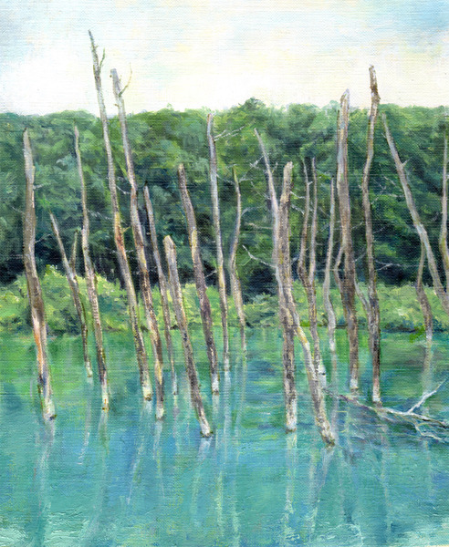 アクリル画原画「美瑛・青い池03」額縁付SMサイズ風景画