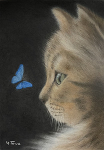 作品名:「蝶と仔猫」 画家名:「TAWA」 コメント:「B5のイラストボードに色鉛筆で描きました。
可愛い仔猫の周りを蝶が舞っています。」 ART-Meter