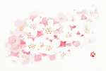 桜(さくら)~ソメイヨシノ