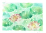 ゆらぎ