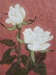 「白い薔薇」