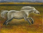 non stop horse