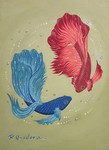 betta 5