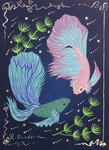 betta 8
