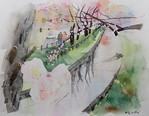 「川越の桜並木」