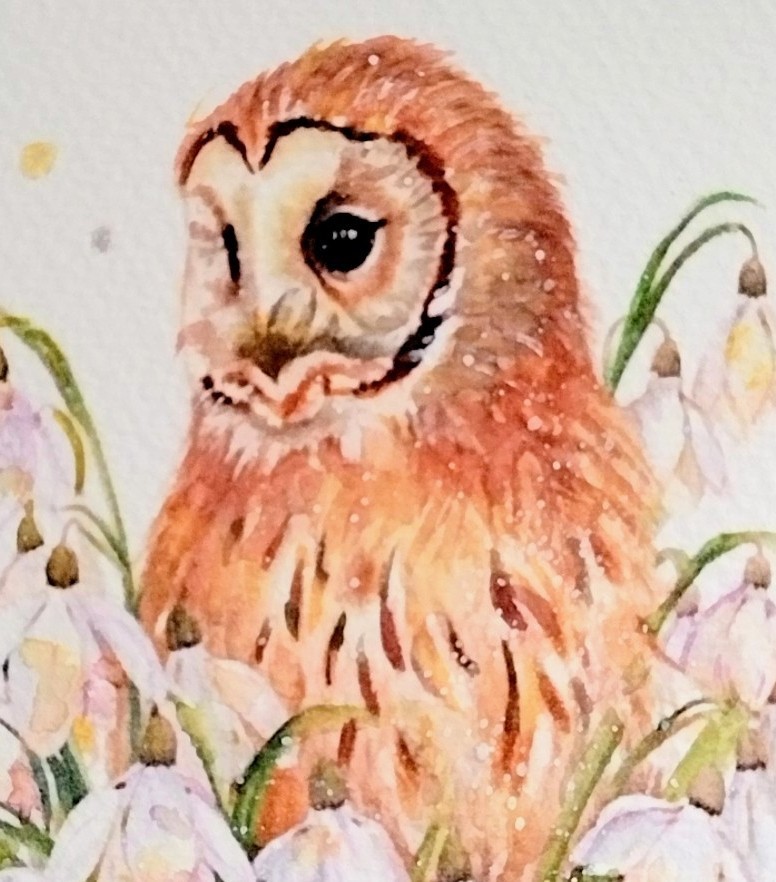 フクロウの顔の描写は細やかに、目の深さや羽毛の柔らかさを丁寧に表現しました。